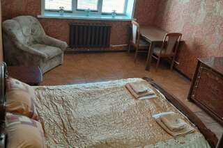 Гостевой дом Гостиница СССР Димитровград Стандартный двухместный номер с 1 кроватью-1